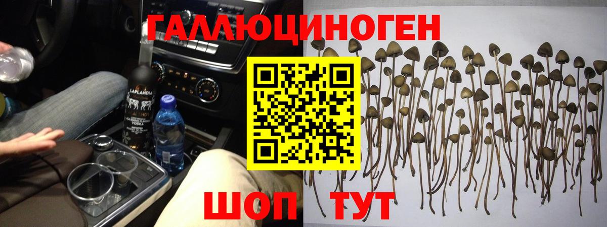 Псилоцибиновые грибы GOLDEN TEACHER  Вход с VPN  Саранск 