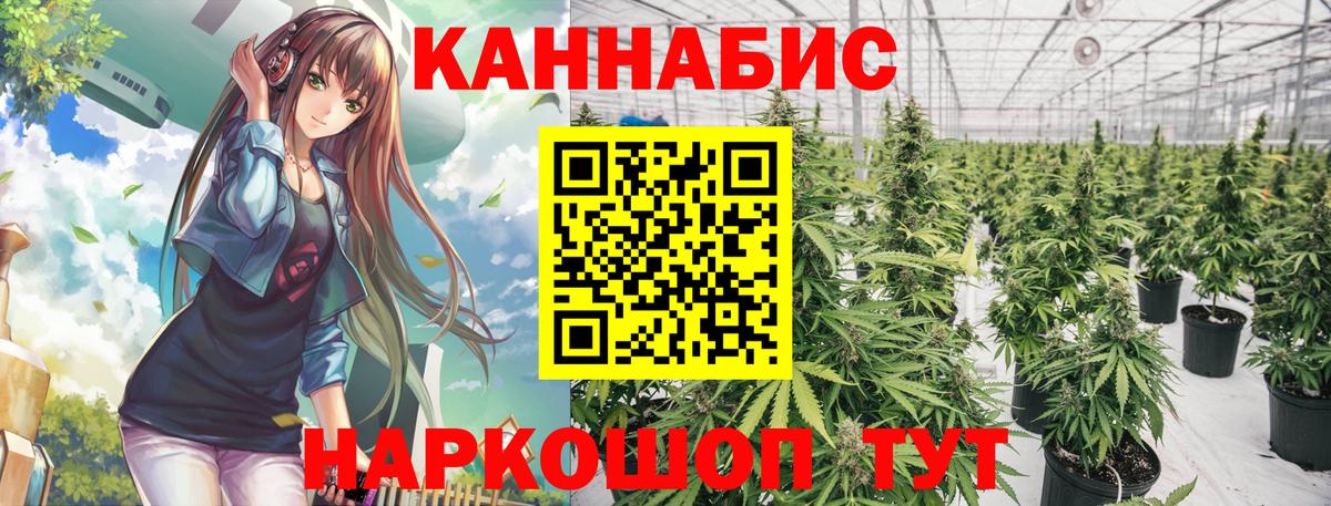 Бошки марихуана White Widow Саранск